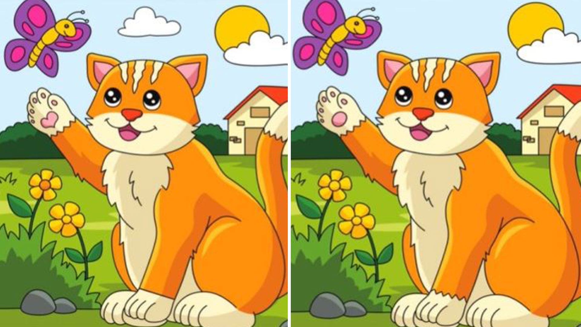 You Have The Eyes Of A Hawk If You Can Spot The Five Differences