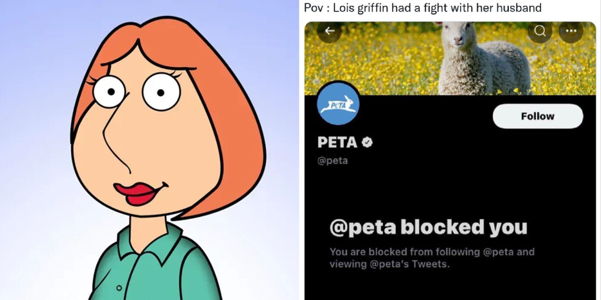 Family Guy: 10 Memes That Perfectly Sum Up Lois As A Character - HIS ...