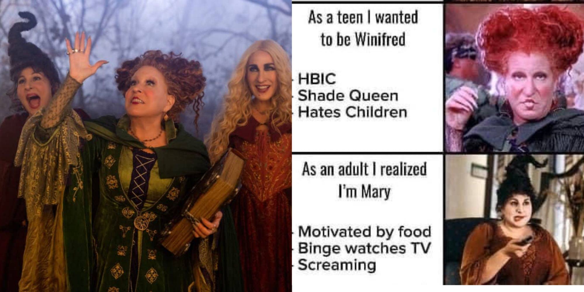 Hocus Pocus 2: 10 Memes That Perfectly Sum Up The Sanderson Sisters ...