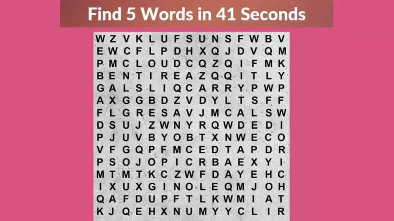 Can you find all 5 hidden words in this picture within 41 seconds ...