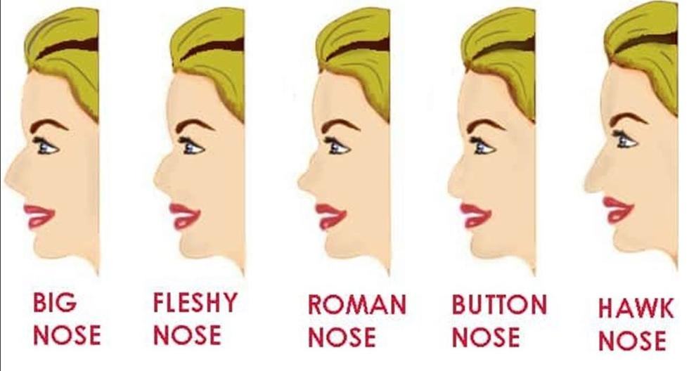 Do you have a big, hawk or button nose? Its shape will show your true ...