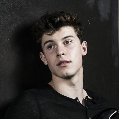 Shawn Mendes- Age, Height, Girlfriend, Net Worth, Ethnicity - HIS Education